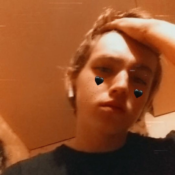 Meet your Posher, Zander - Picture 1 of 1